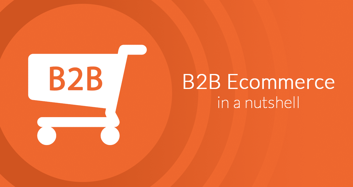 What is B2B eCommerce?