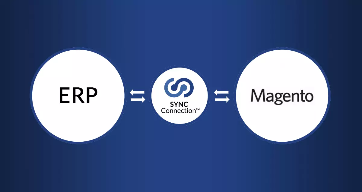 Integrate ERP Functions with eCommerce Selling – A Whole New World of Possibilities