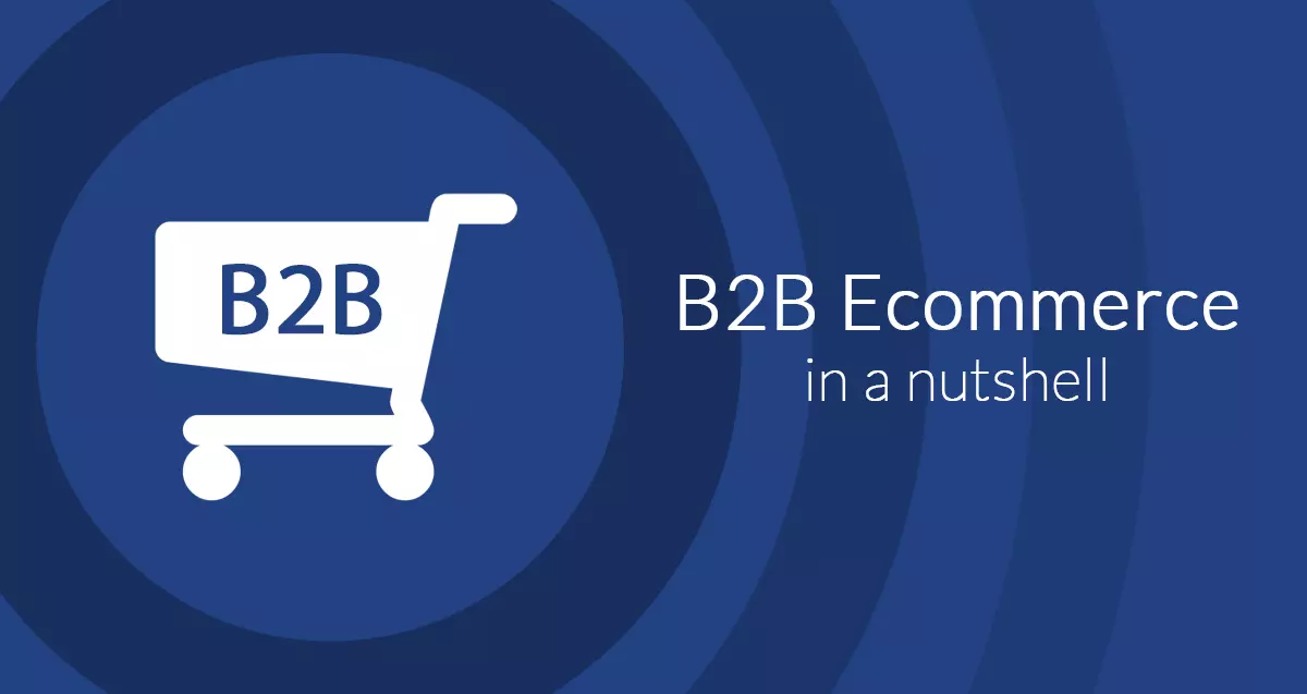 What is B2B Ecommerce and How Does it Differ from B2C?